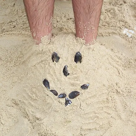 Vistazul Casa vacanze Pataias