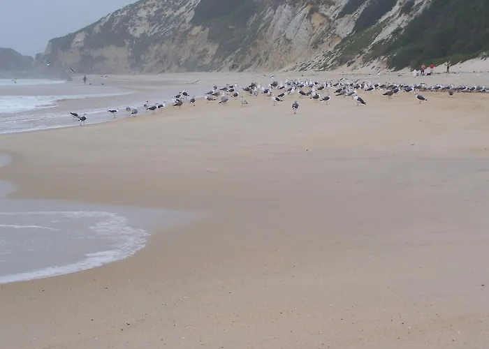 Vistazul * باتاياس