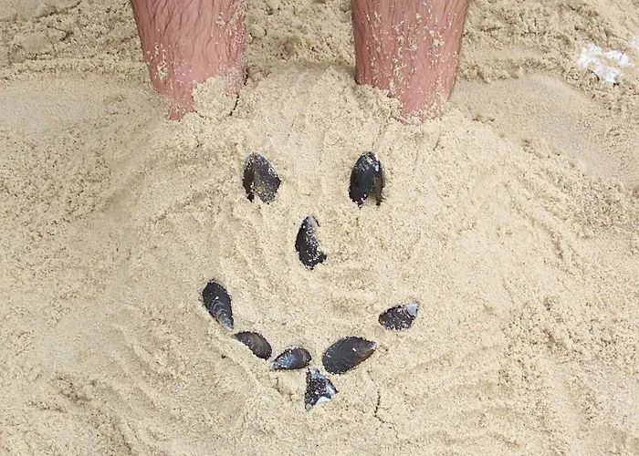 Vistazul Casa de Férias Pataias